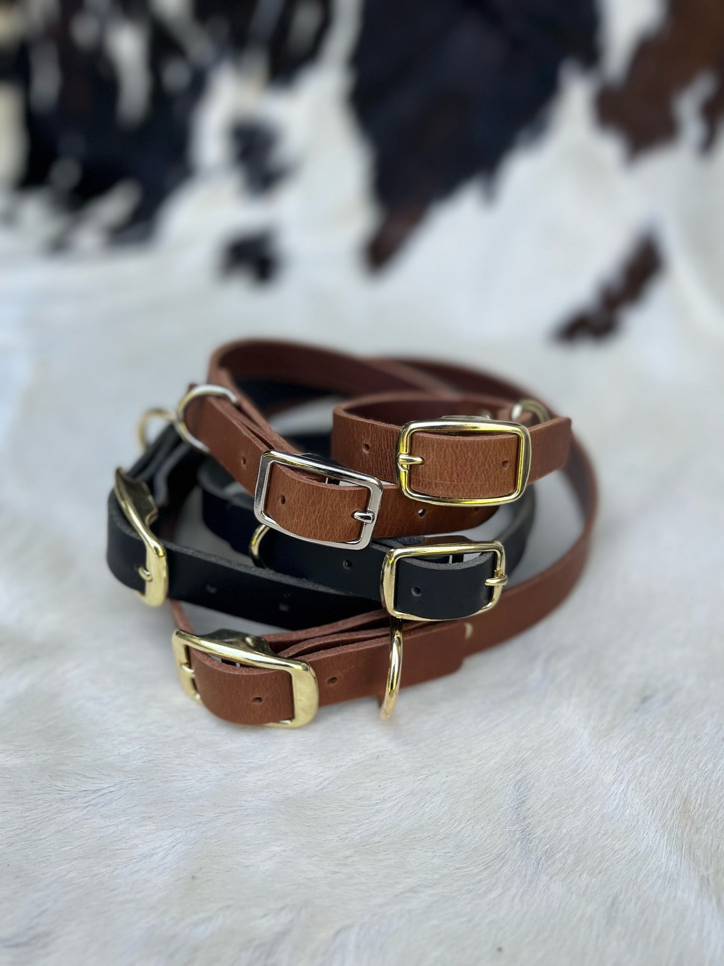 Dog Collar - Medium